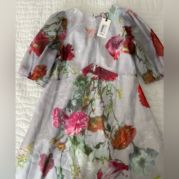 Ted baker Mekayal dress - Picture 6 of 8